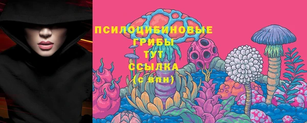 шишки Абдулино